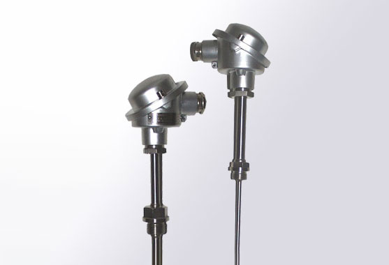 Polytech Produkte Thermometer PT 100